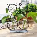 Creation Iron Frame Flower Vase For Home Decoration